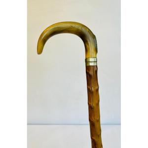 Cane